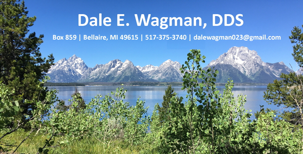 Dale E. Wagman, DDS